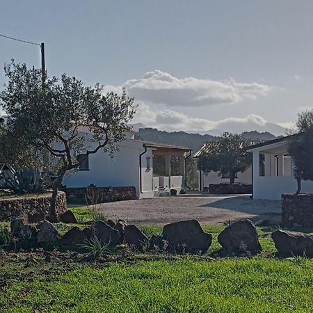 Agriturismo Sa Murta دورغالي المظهر الخارجي الصورة