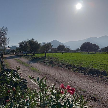 Agriturismo Sa Murta دورغالي المظهر الخارجي الصورة