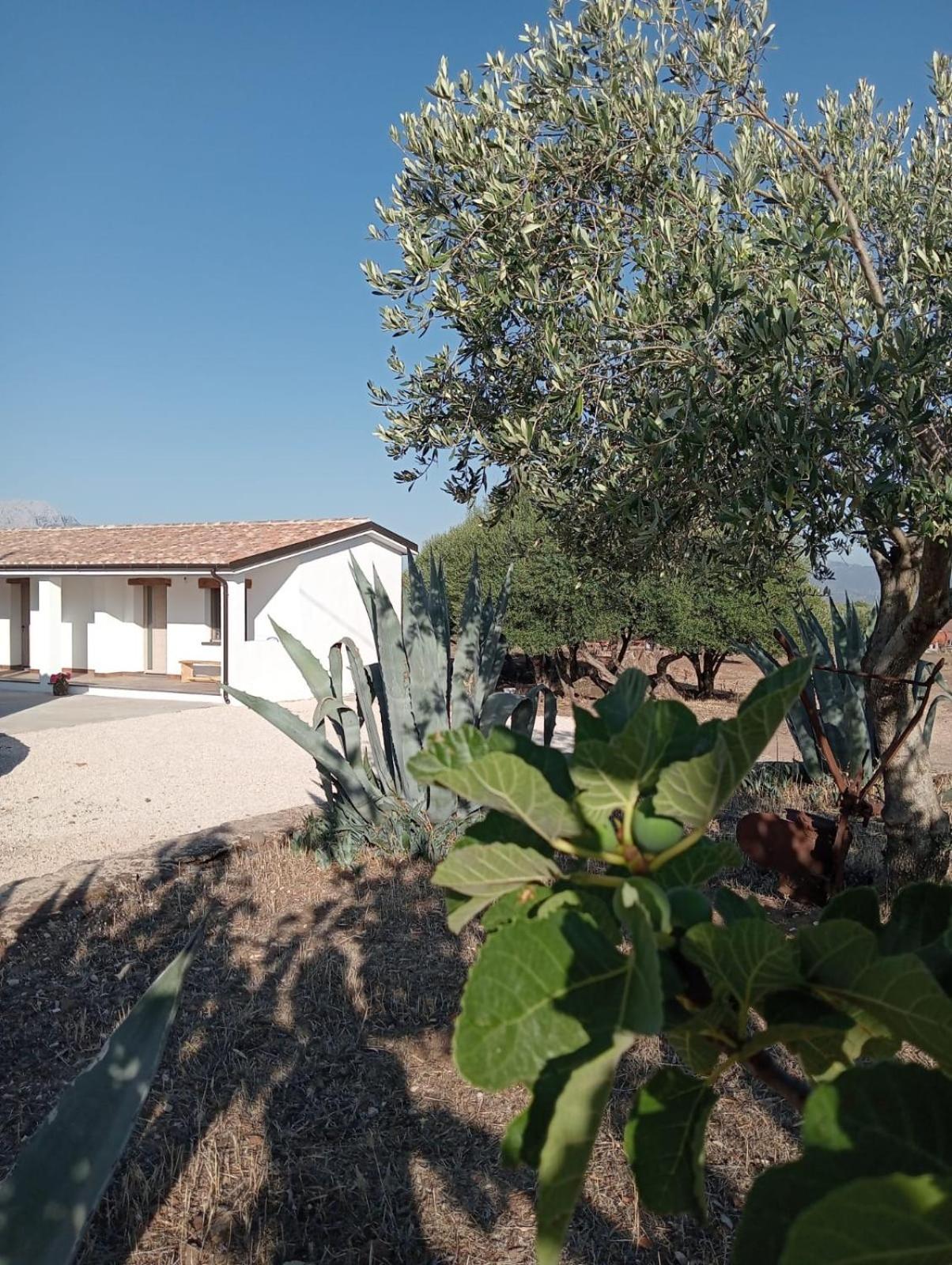 Agriturismo Sa Murta دورغالي المظهر الخارجي الصورة