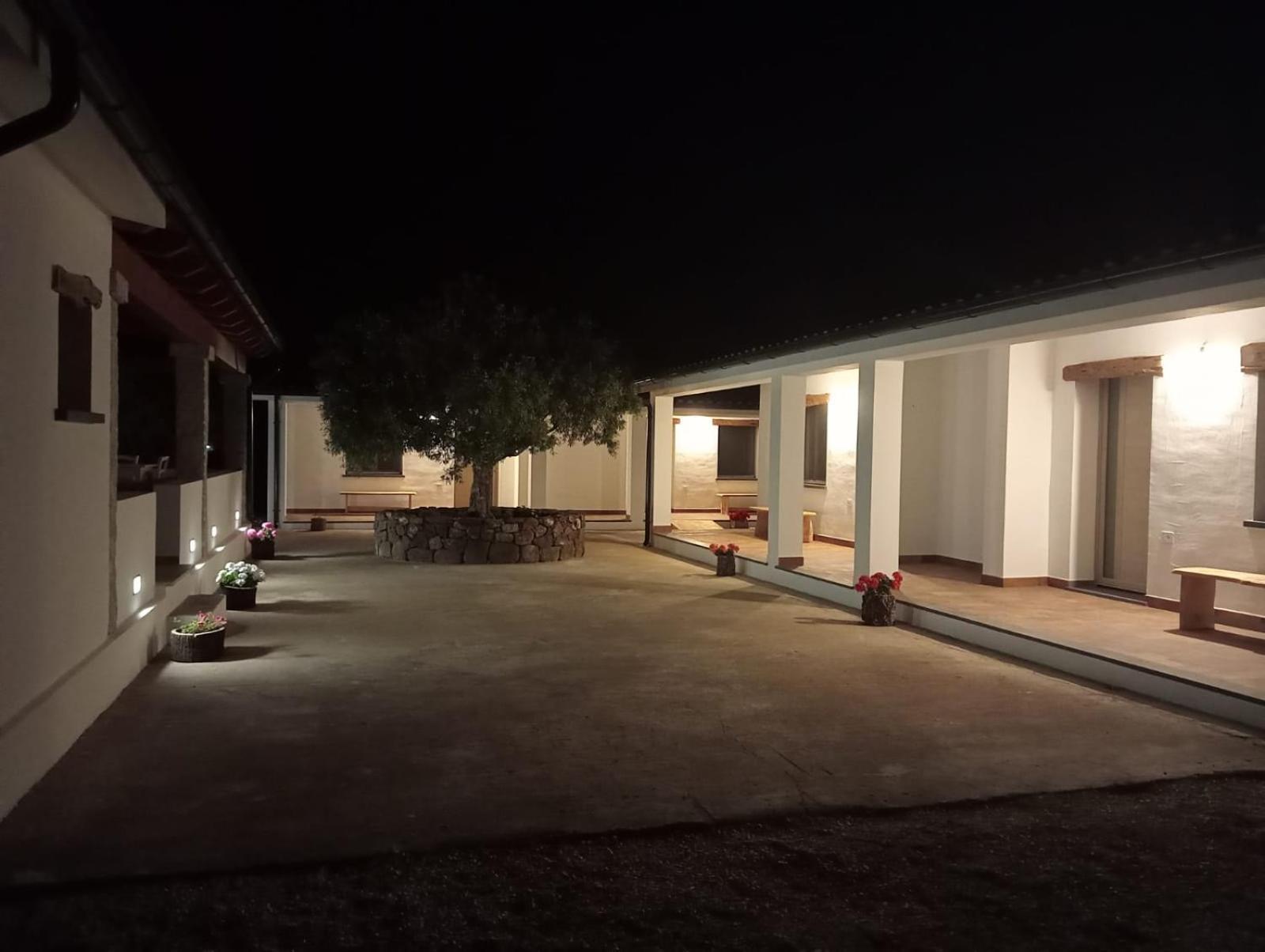 Agriturismo Sa Murta دورغالي المظهر الخارجي الصورة