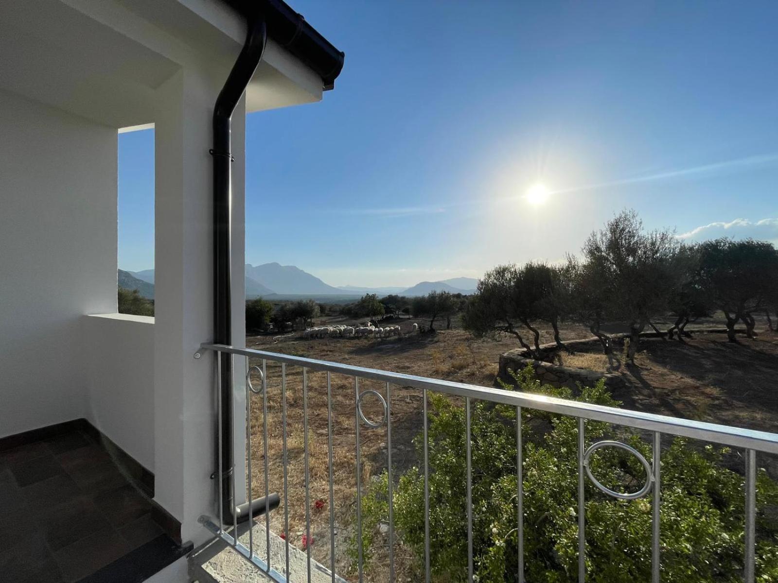 Agriturismo Sa Murta دورغالي المظهر الخارجي الصورة