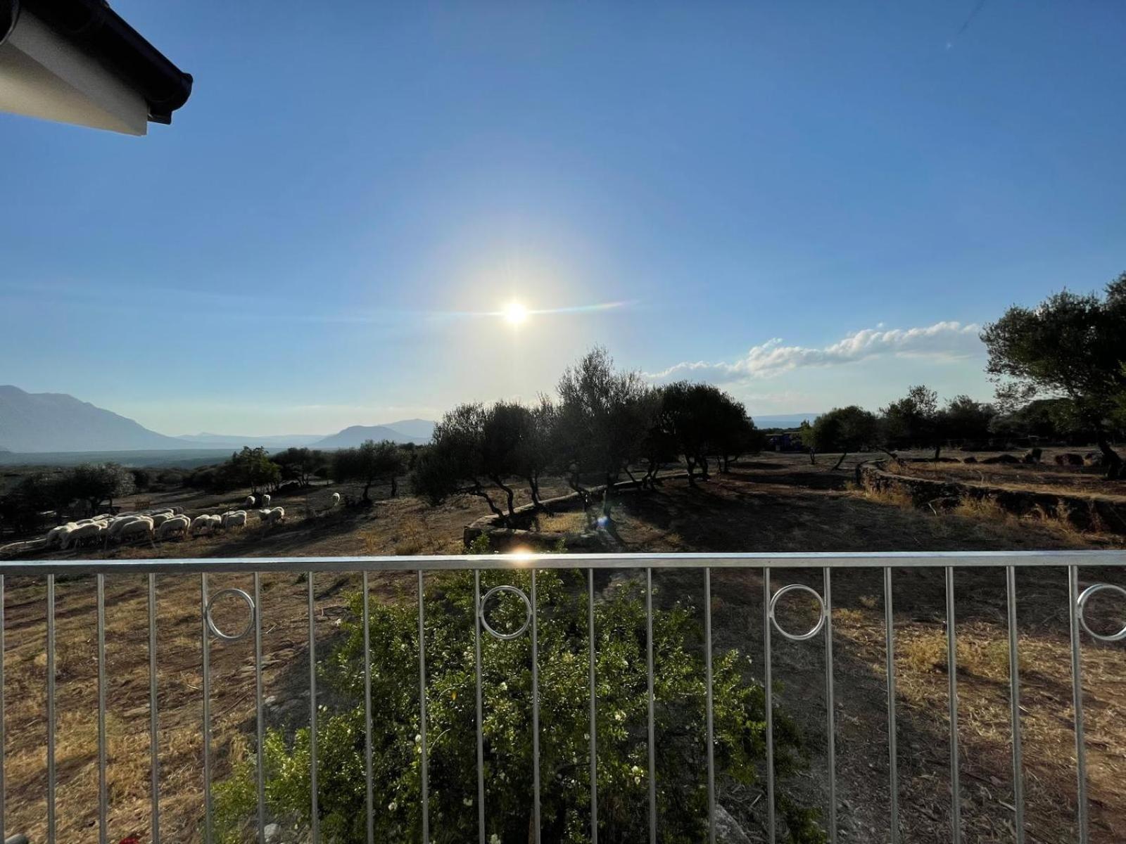 Agriturismo Sa Murta دورغالي المظهر الخارجي الصورة