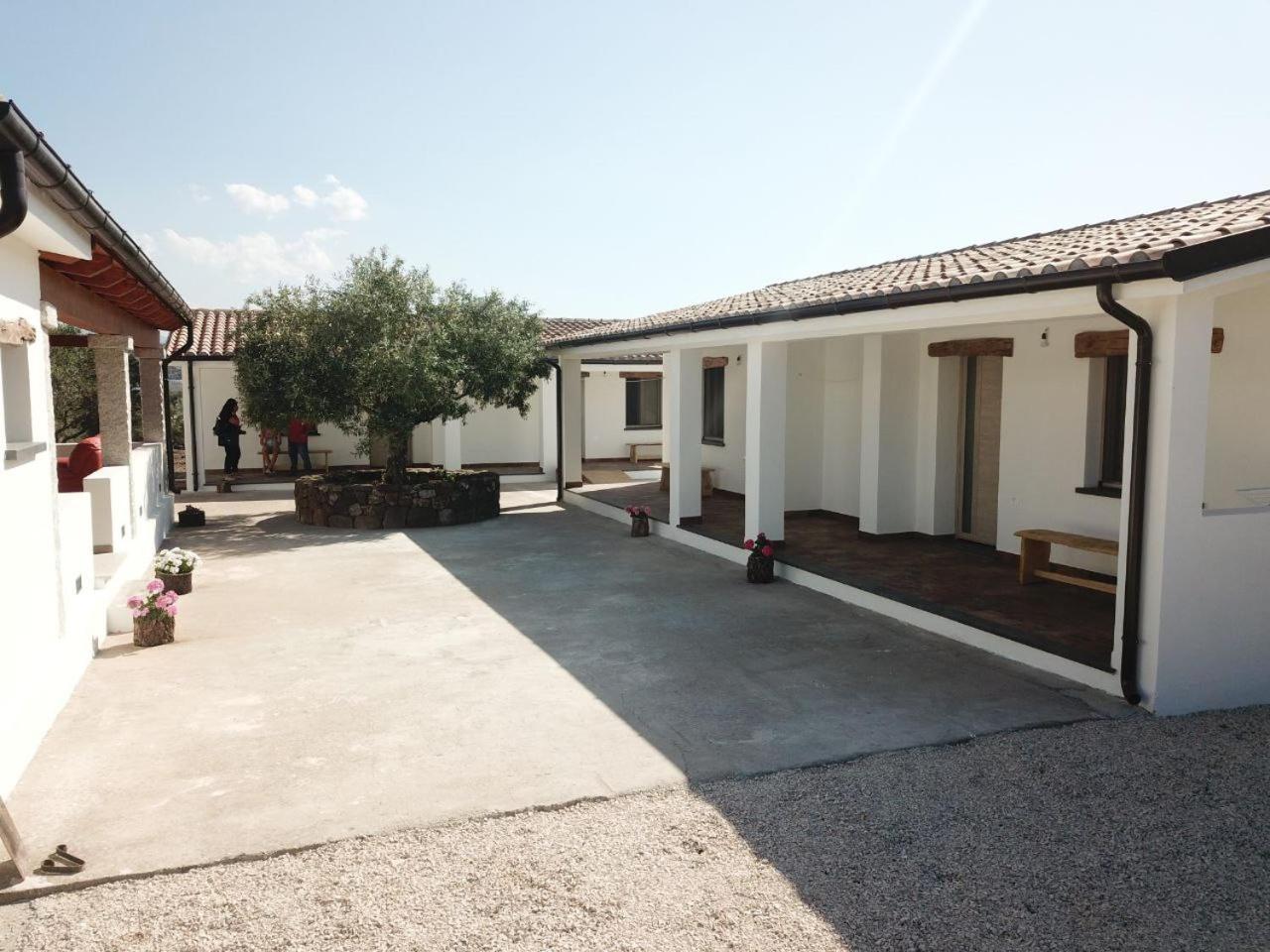 Agriturismo Sa Murta دورغالي المظهر الخارجي الصورة