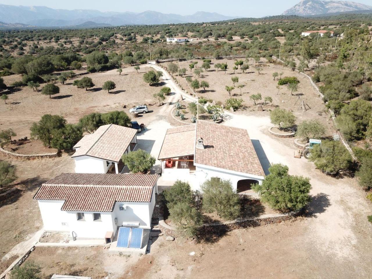 Agriturismo Sa Murta دورغالي المظهر الخارجي الصورة