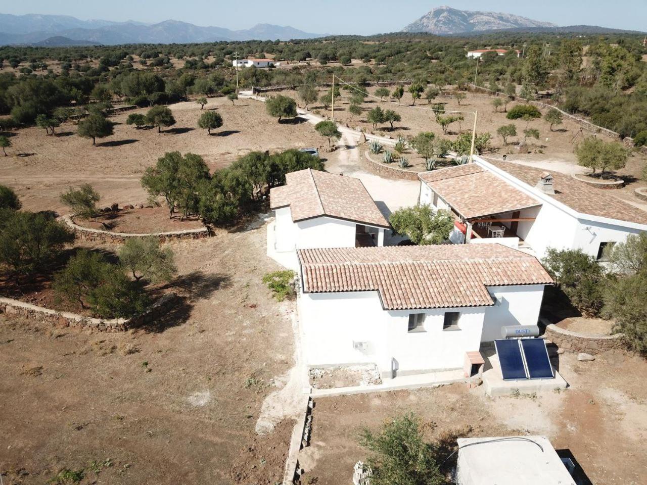 Agriturismo Sa Murta دورغالي المظهر الخارجي الصورة