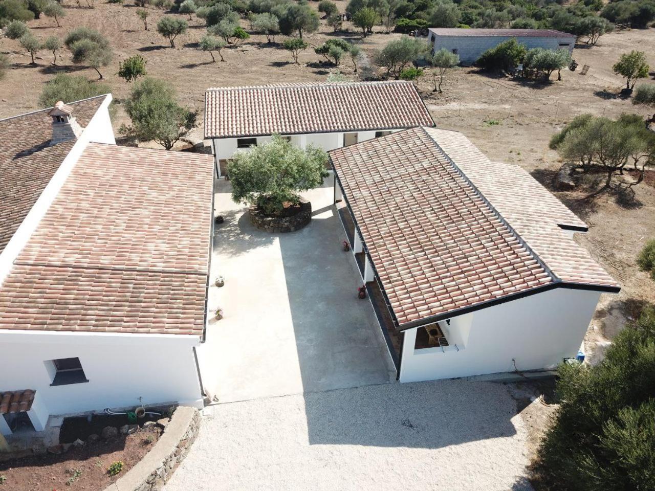 Agriturismo Sa Murta دورغالي المظهر الخارجي الصورة
