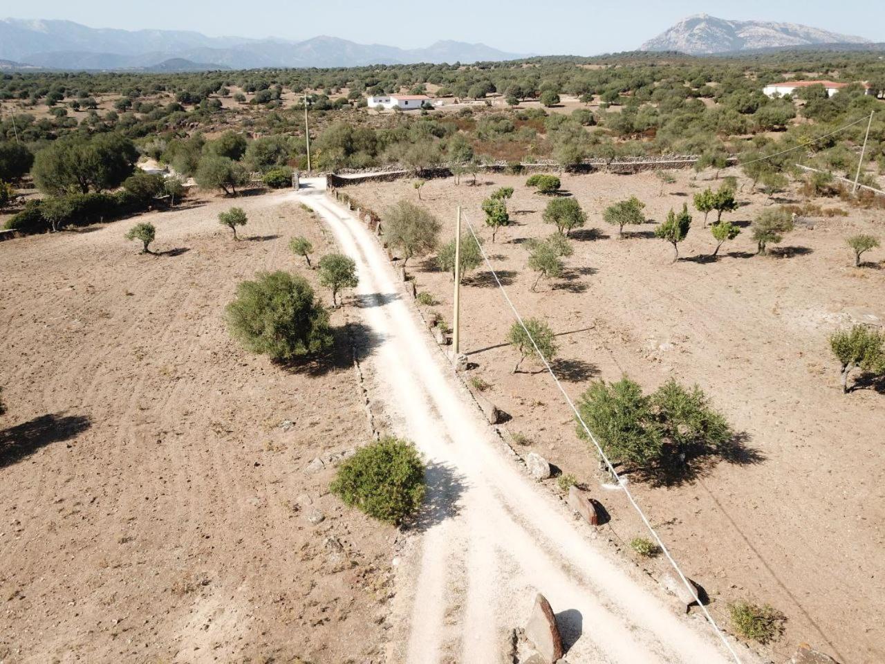 Agriturismo Sa Murta دورغالي المظهر الخارجي الصورة
