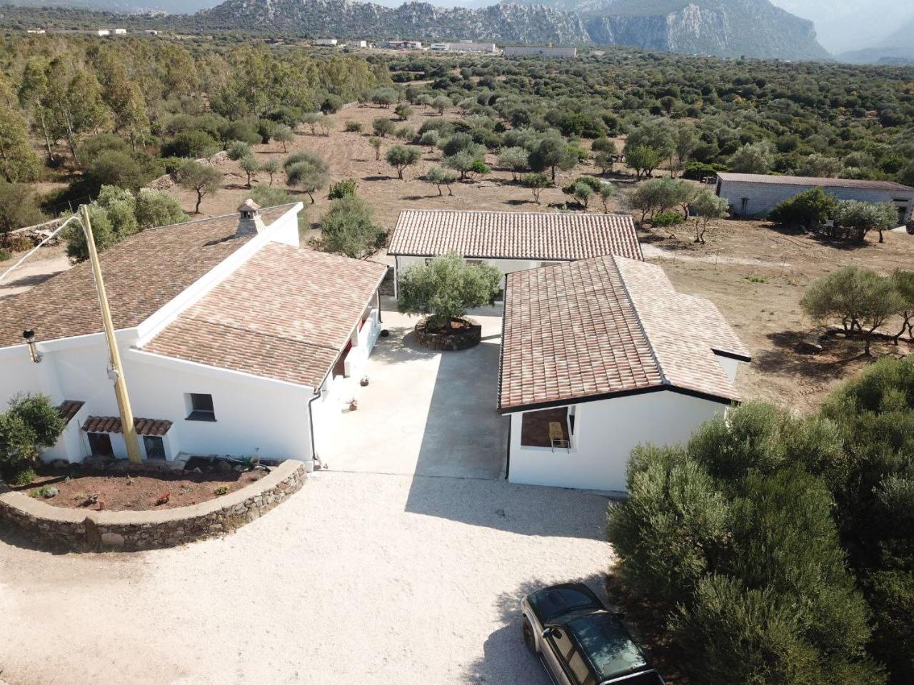Agriturismo Sa Murta دورغالي المظهر الخارجي الصورة