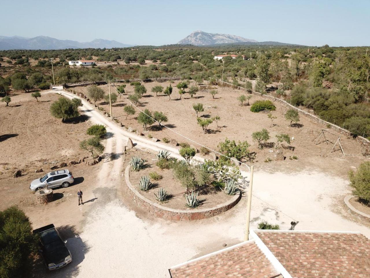 Agriturismo Sa Murta دورغالي المظهر الخارجي الصورة