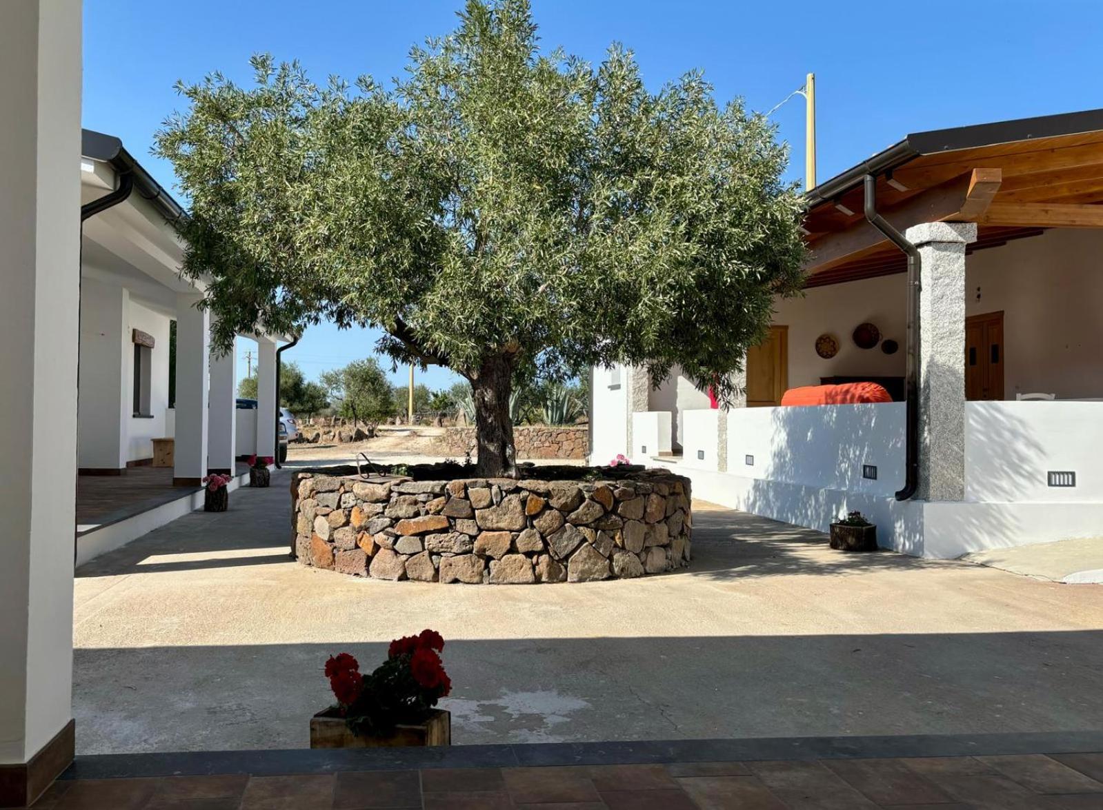 Agriturismo Sa Murta دورغالي المظهر الخارجي الصورة