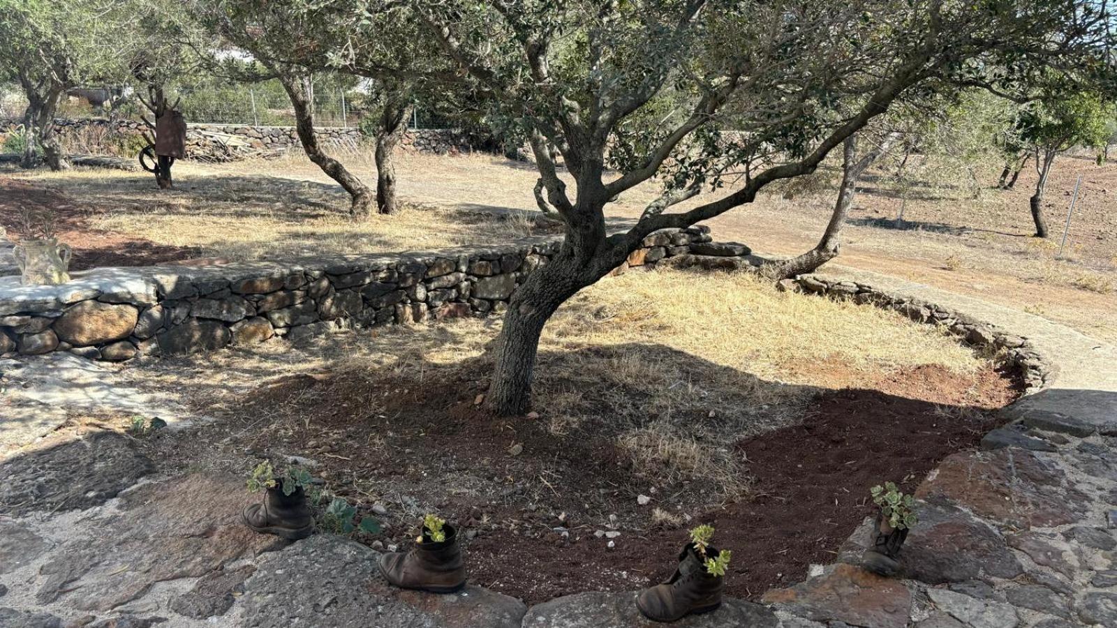Agriturismo Sa Murta دورغالي المظهر الخارجي الصورة
