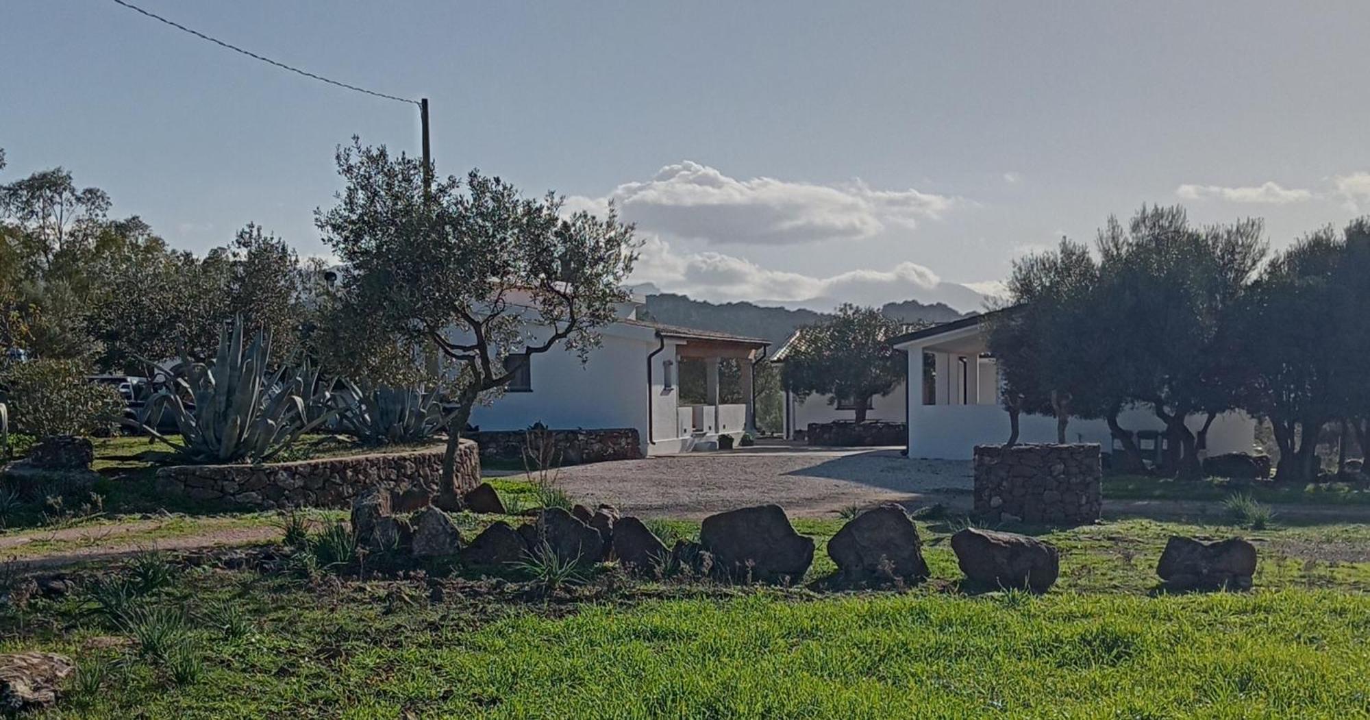 Agriturismo Sa Murta دورغالي المظهر الخارجي الصورة