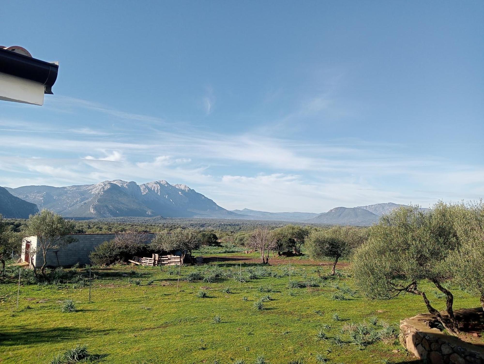 Agriturismo Sa Murta دورغالي المظهر الخارجي الصورة