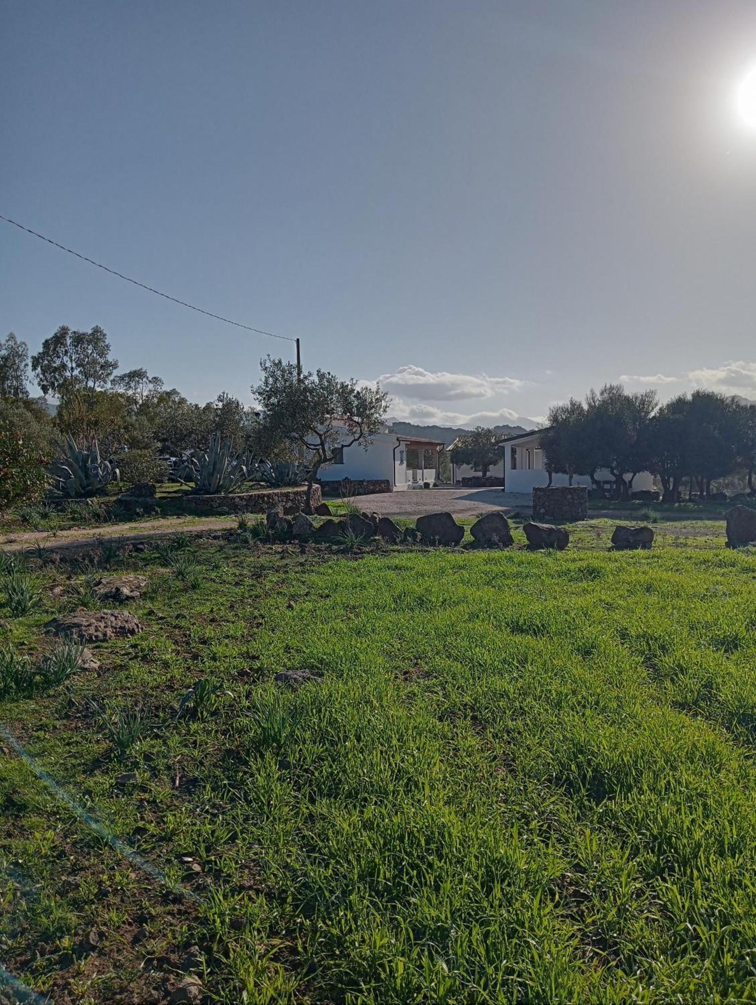Agriturismo Sa Murta دورغالي المظهر الخارجي الصورة